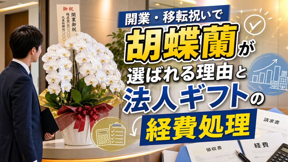 開業・移転祝いで胡蝶蘭が選ばれる理由と法人ギフトの経費処理